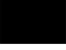 Tablet Screenshot of nowtampa.org
